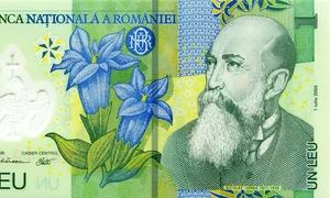 1 leu  romania 2005 a jpeg