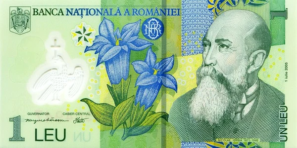 1 leu  romania 2005 a jpeg