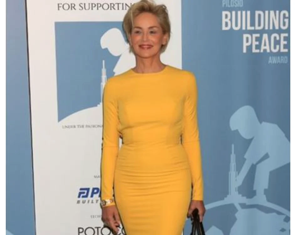
    Sharon Stone arată foarte bine, deși a trecut prin mari încercăriFoto: Getty Images  