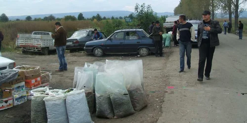 Un kilogram de struguri costă între doi şi şase lei, în funcţie de soi.  