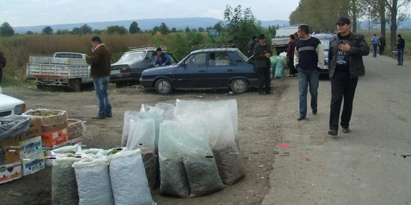 Un kilogram de struguri costă între doi şi şase lei, în funcţie de soi.  