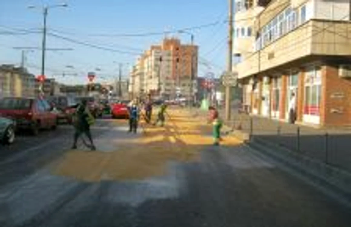 Porumbul din intersecţie