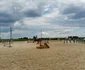 Baza hipică CS Cantemir Timișoara FOTO Ștefan Both
