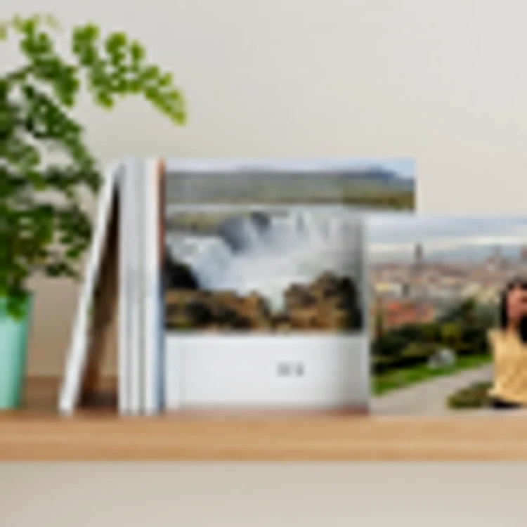 album google photos