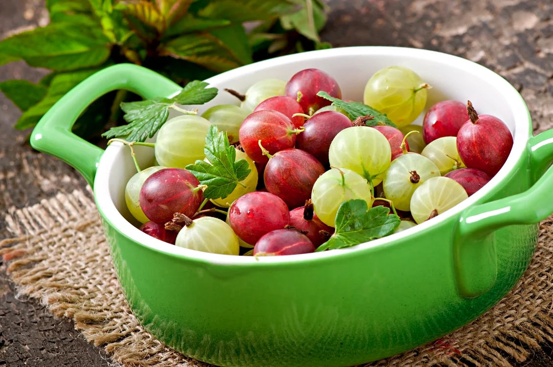 Agrişele pot fi roşii sau verzi-gălbui, în funcţie de soi  Foto Shutterstock