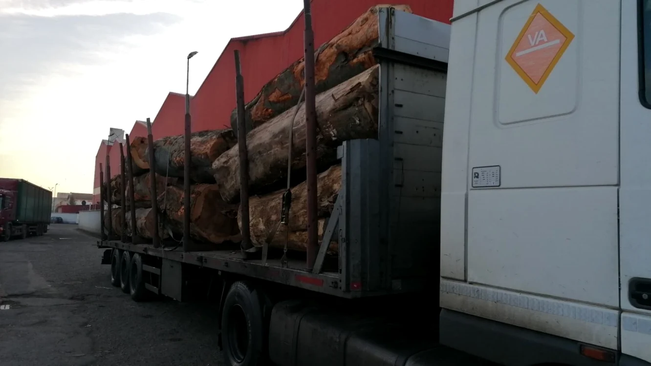 Camion încărcat cu bușteni Foto Arhiva Adevărul