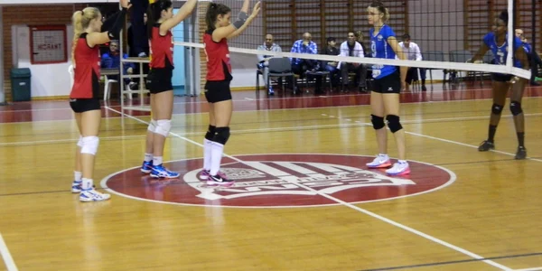 CSM Satu Mare - CSM Targoviste