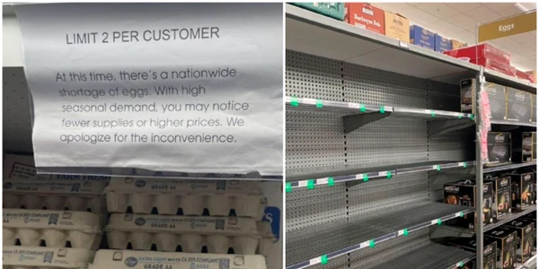 Penuria de ouă din SUA, Canada și Noua Zeelandă a crescut prețul. Rafturile supermarketurilor sunt goale și chiar există o limită privind cumpărarea ouălor FOTO Twitter 