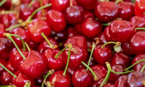 cherries 3433775 640 jpeg