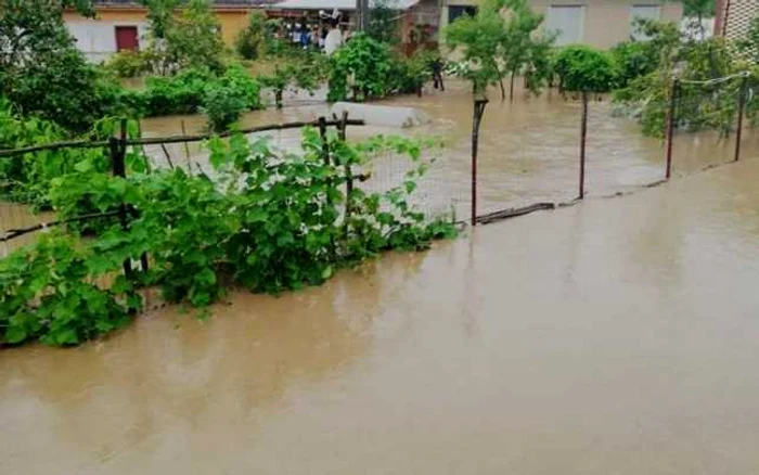 FOTO: ISU Hunedoara.