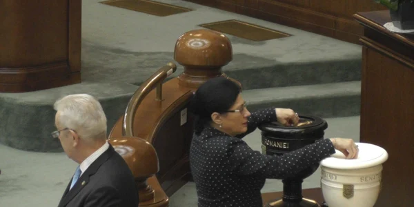 Ecaterina Andronescu a votat impotriva