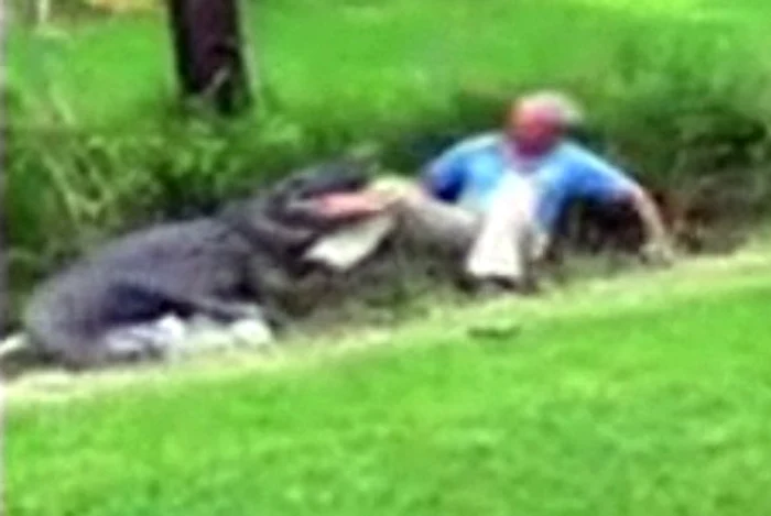 Bărbatul a fost atacat de aligator