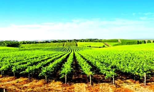 1 49765 original jpg jpeg