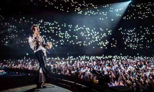 harry styles