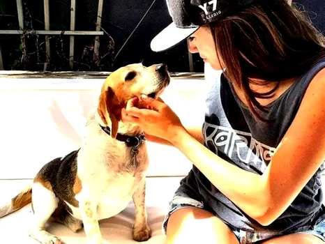 meghan markle caine jpeg