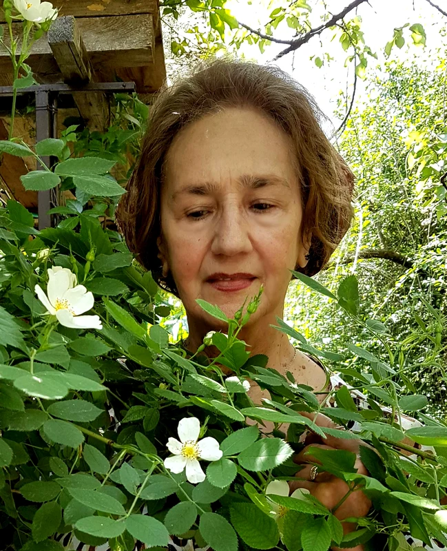 sofia vicoveanca 5 jpg