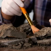 Arheologie FOTO Shutterstock