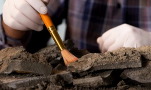 Arheologie FOTO Shutterstock