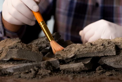 Arheologie FOTO Shutterstock