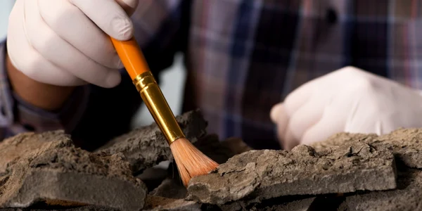 Arheologie FOTO Shutterstock