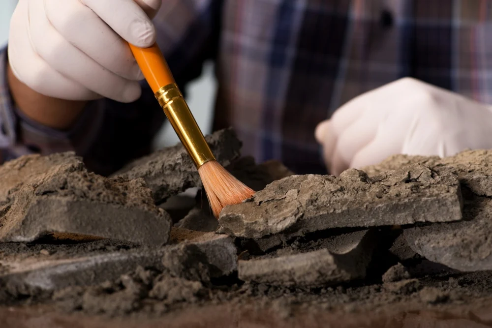 Descoperire uluitoare în Germania: Arheologii au găsit un caiet vechi de aproximativ 800 de ani într-o toaletă medievală
