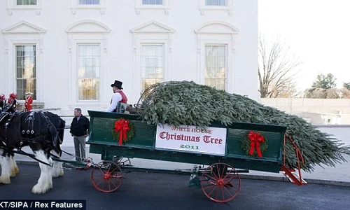 article 2066432 0ef1f85700000578 388 634x330 jpeg