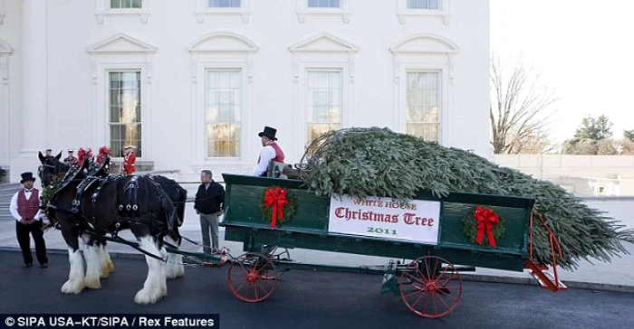 article 2066432 0ef1f85700000578 388 634x330 jpeg