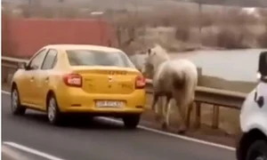 cal rapit cu taxiul jpeg