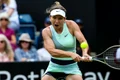 simona halep jpg