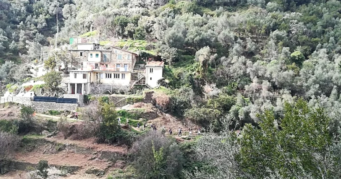 cinque