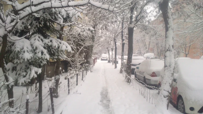 Iarna a cuprins Maramuresul FOTO.Dragos Hojda