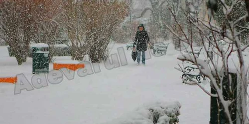 Ninge ca-n poveşti la Braşov