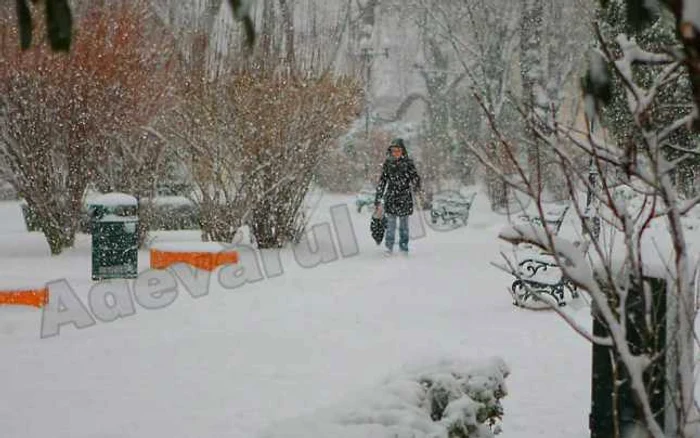 Ninge ca-n poveşti la Braşov