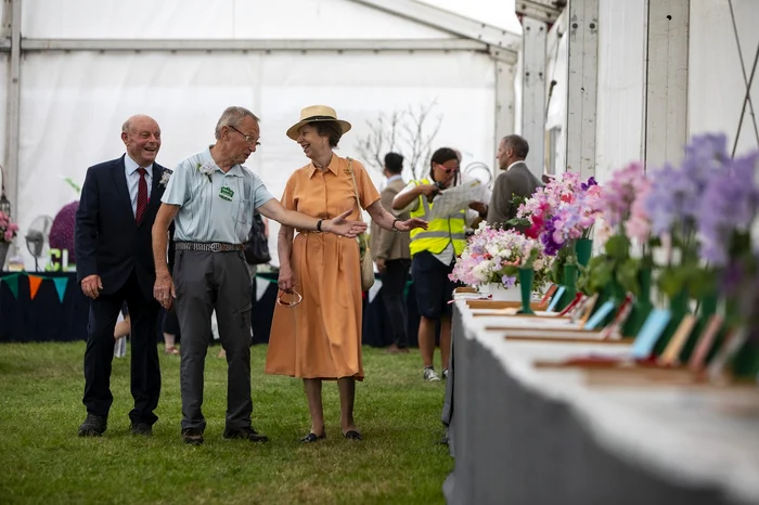 Prințesa Anne pe canicula jpg