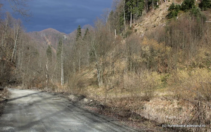 satul magureni hunedoara foto daniel guta adevarul