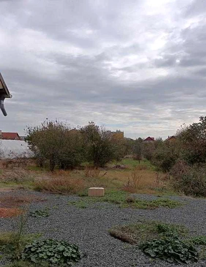 Coletul suspect din grădină FOTO IPJ Arad 