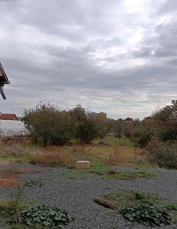 Coletul suspect din grădină FOTO IPJ Arad
