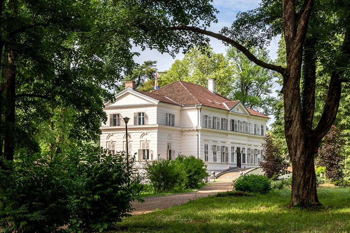 Castelul Săvârșin