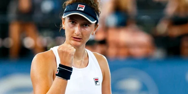 Begu png