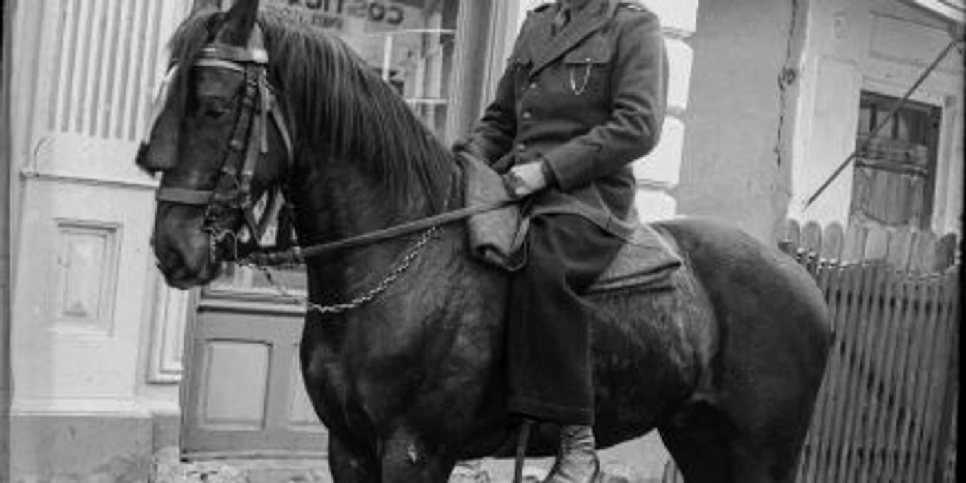 slobozia fotografie realizata de costica acsinte foto acsinte100.ro