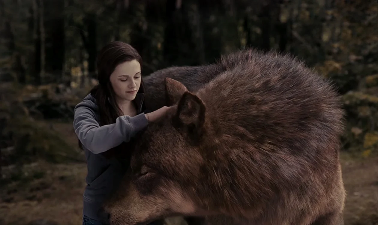 Kristen Stewart pare că s-a împrietenit la cataramă cu lupul uriaș