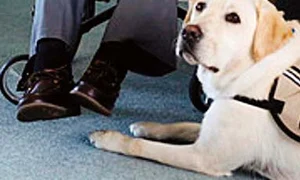 George Bush senior s a stins la 94 de ani jpeg