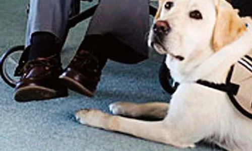 George Bush senior s a stins la 94 de ani jpeg