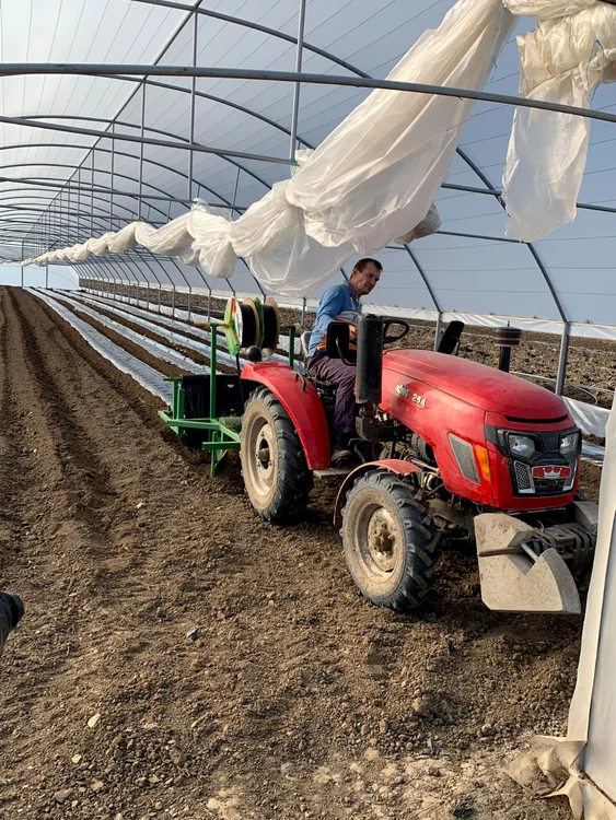 Florinel Mădularu are în plan să planteze cireși în solar FOTO: arhiva personală