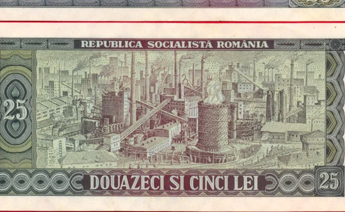 Imaginea combinatului din Hunedoara, imprimată pe verso-ul bancnotei de 25 de lei.