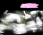 6 prima imagine cu fetita lui katy perry 2 jpg jpeg