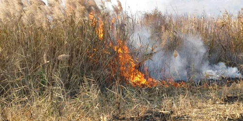 Au ars 0,22 de hectare
