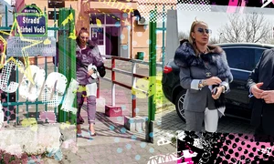 cub anamaria prodan avocat png