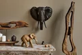 elefant shutterstock 1980820544 jpg