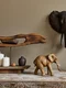elefant shutterstock 1980820544 jpg